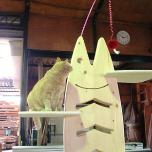 キャットタワー