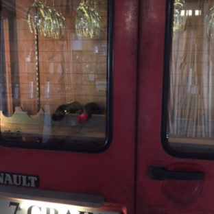 Renaultショーケース